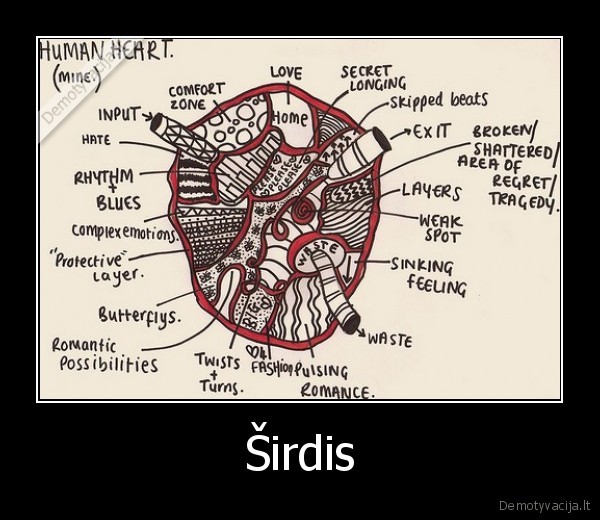 Širdis