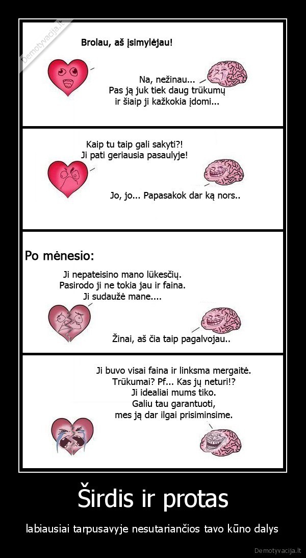 Širdis ir protas