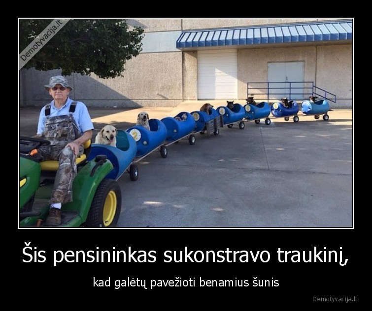 traukinus,sunys