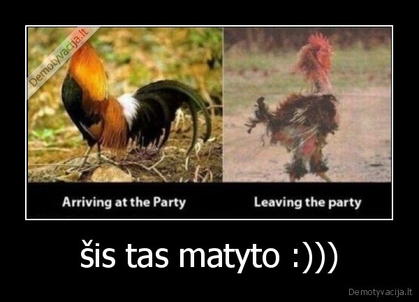 šis tas matyto :)))