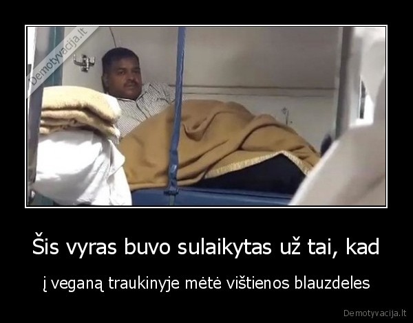 vista,veganizmas