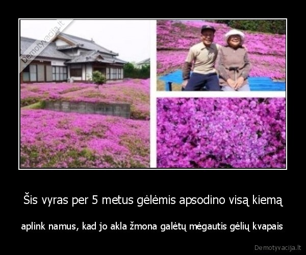 geles,romantikas