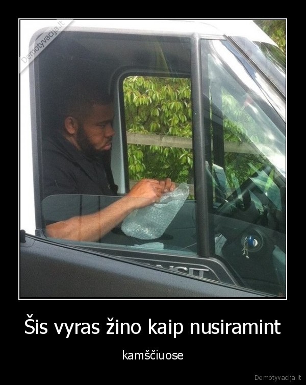 kamsciai,nusiramint