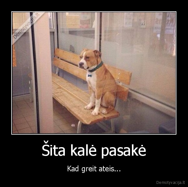 suo,kale,laukti