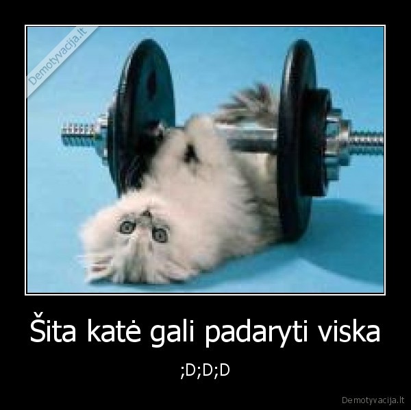 Šita katė gali padaryti viska