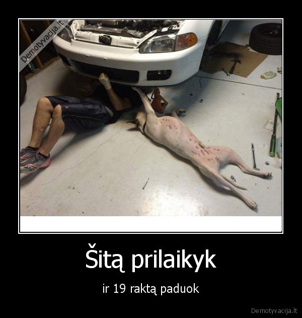 Šitą prilaikyk