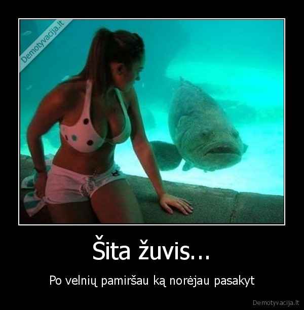 Šita žuvis...
