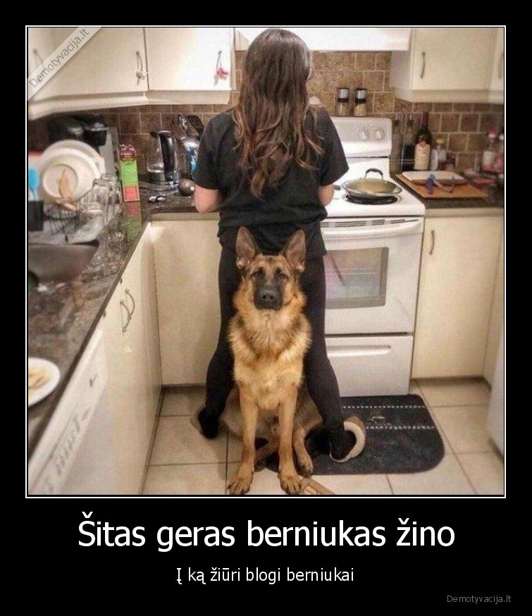 sarginis, suo