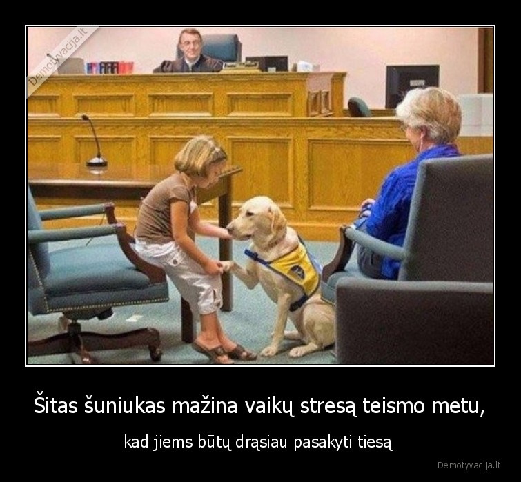 teismas,suo,geriausias,draugas