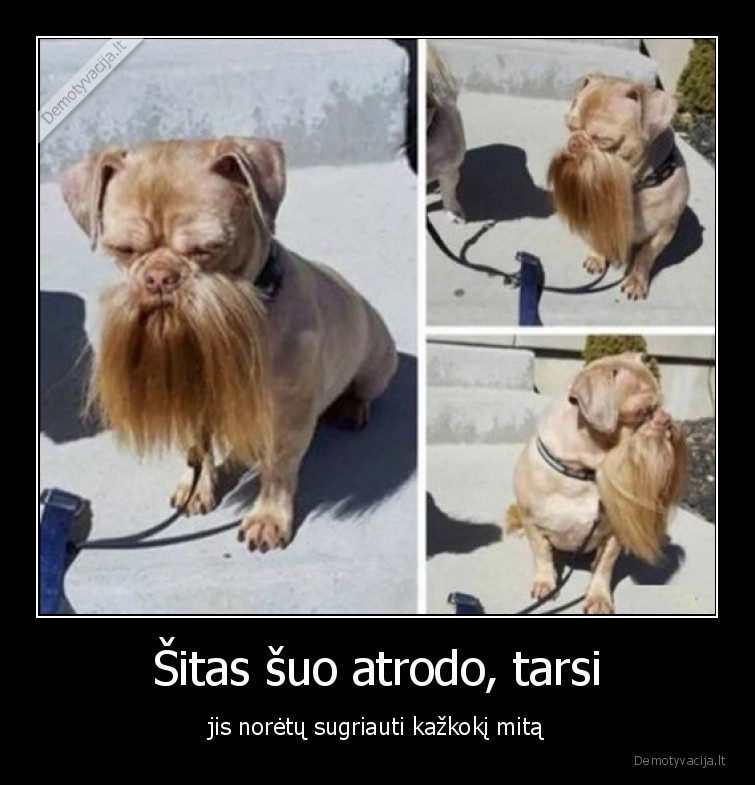 mitu,griovejas,suo