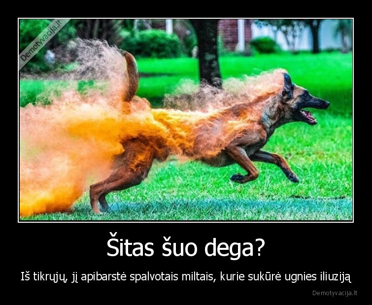 spalvos,suo,ugnis
