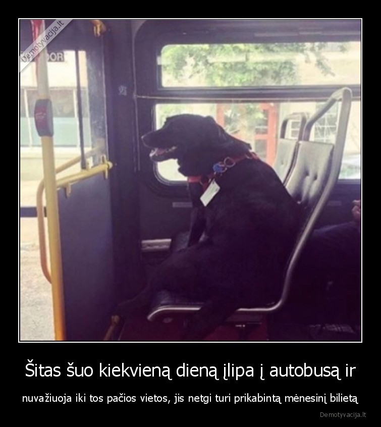 suo,autobusas,bilietas,menesinis