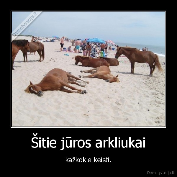 arklys,juros, arkliukas,jura