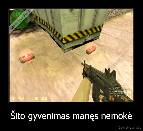 Šito gyvenimas manęs nemokė