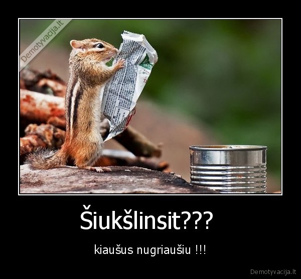 issaugok, kiausus,nesiukslink, voverei