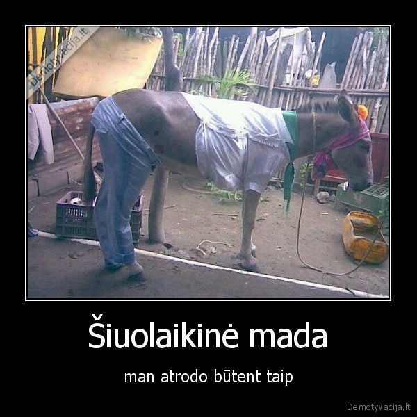 Šiuolaikinė mada