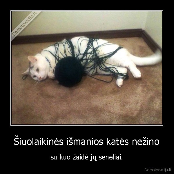 kate,siulai,siulu, kamuolys