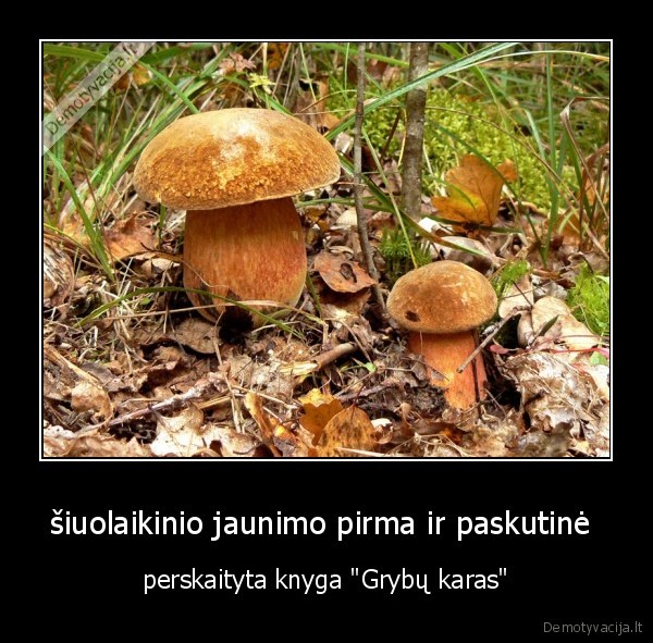 šiuolaikinio jaunimo pirma ir paskutinė 