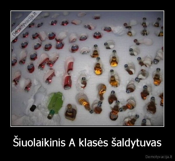 studentas, saldytuvas, alus