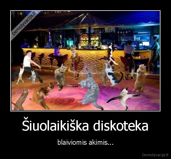 sokiai,diskoteka,blaivus