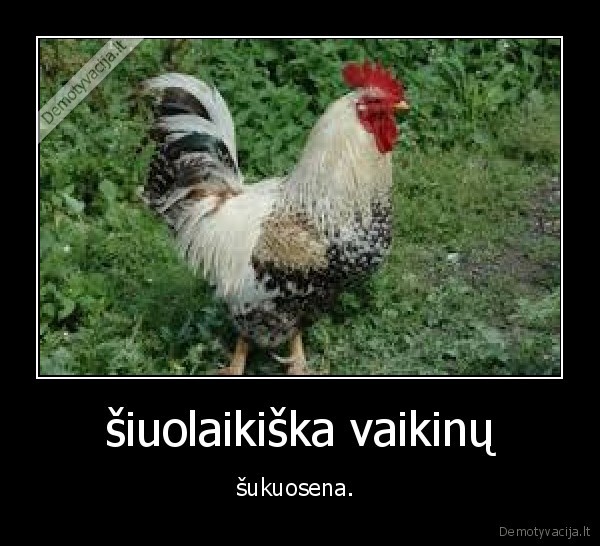šiuolaikiška vaikinų