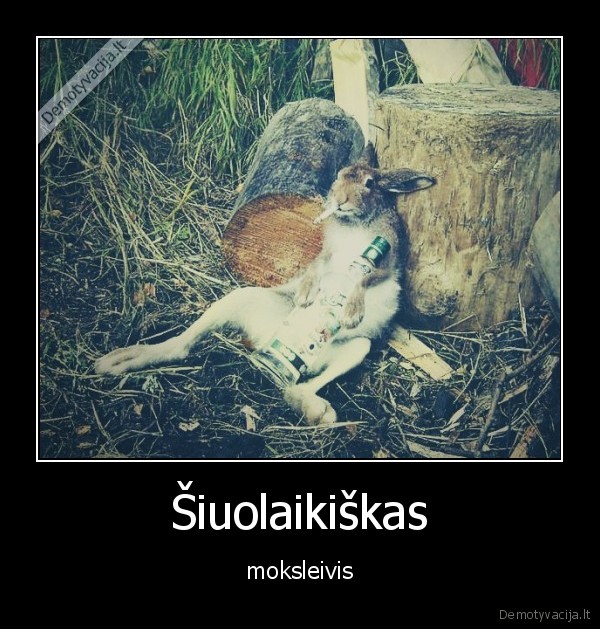 moksleivis,mokykla