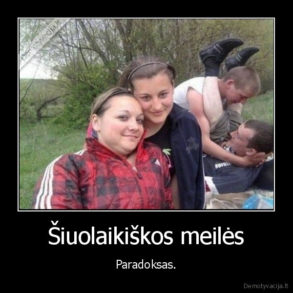 meile,homo,bi
