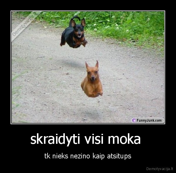 skraidyti visi moka 