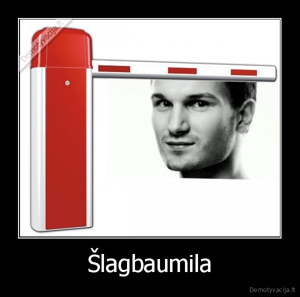 vaidas, baumila,slagbaumas,choru, karai
