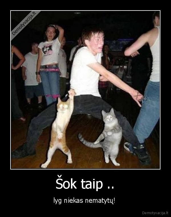 Šok taip ..