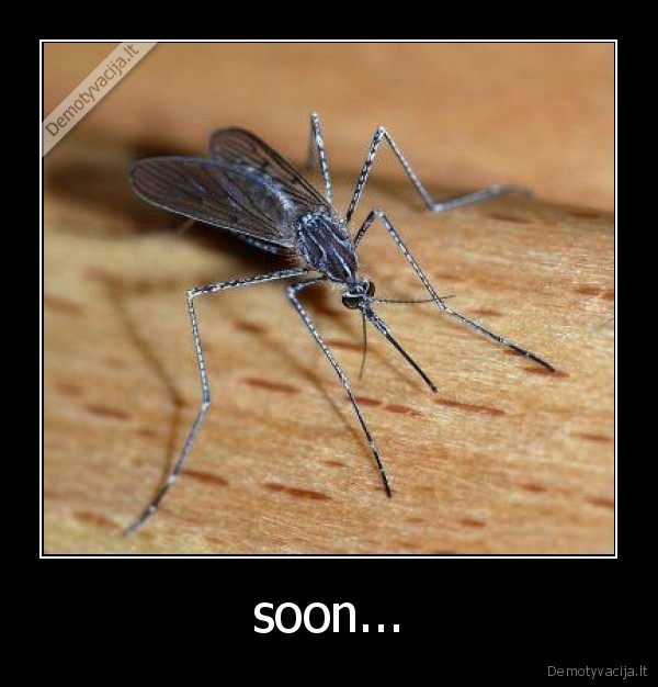 soon...