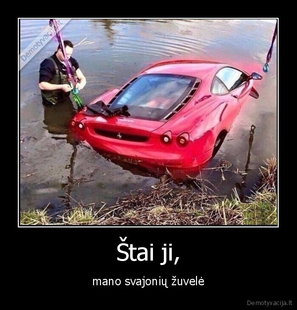 zuvis,ferrari