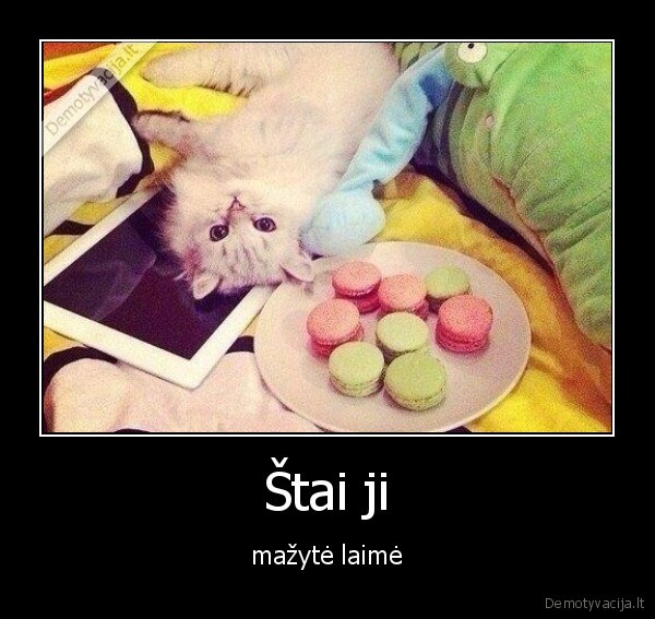 Štai ji