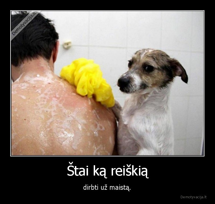 darbas,maistas,suo