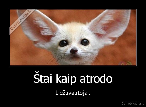 paskalos,ausys