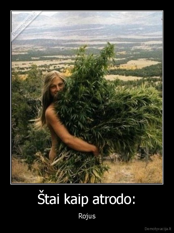 rojus,kanapes
