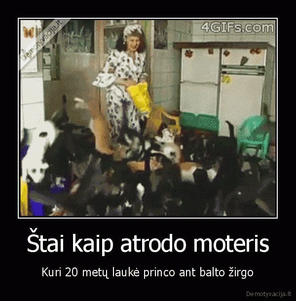 kaciu, moteris,daug, kaciu