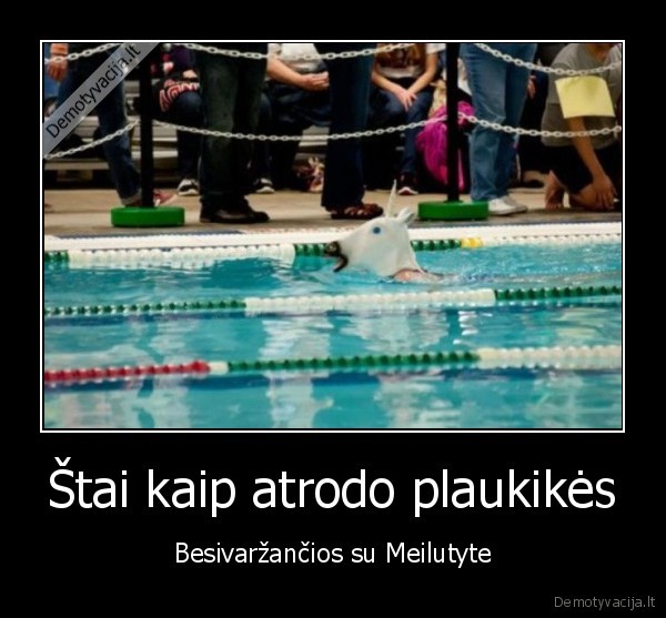 juokinga, plaukike,baseinas,vienaragis