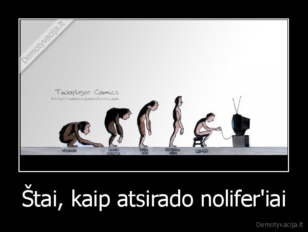 nolifer