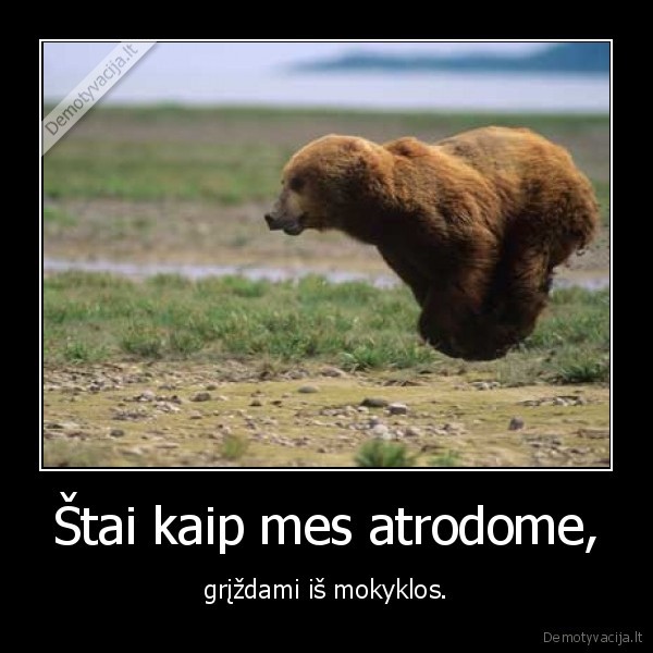Štai kaip mes atrodome,