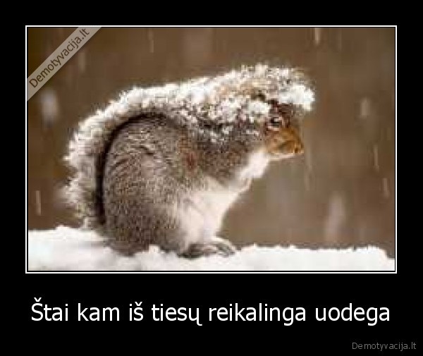 uodega,ziema,vovere