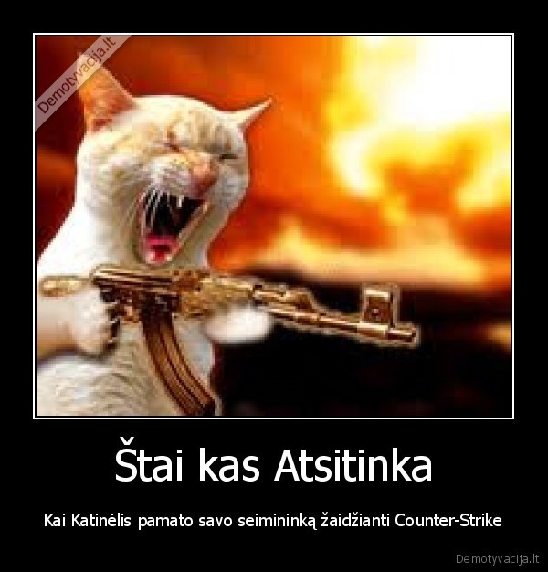 cs,kaciuks,katinelis