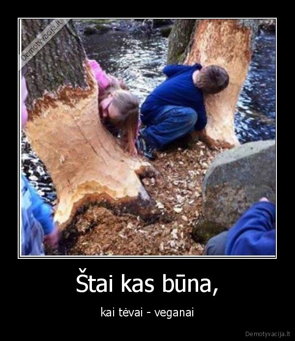Štai kas būna,