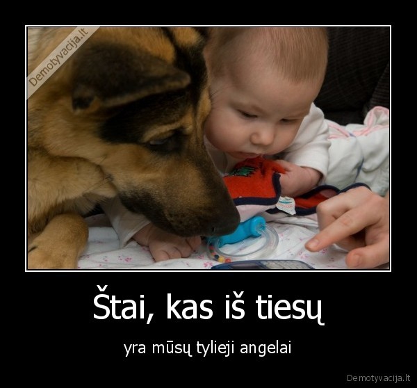 filosofija