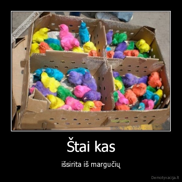 velykos,visciukai
