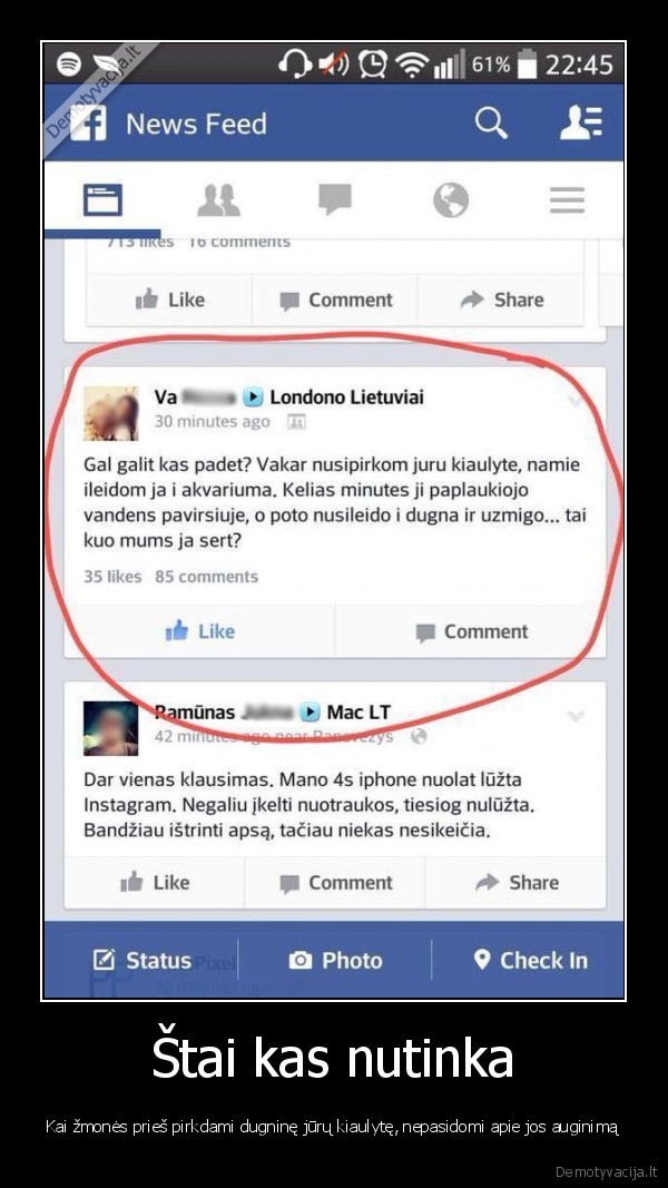 juru, kiaulyte, akvariume,kvailas, klausimas