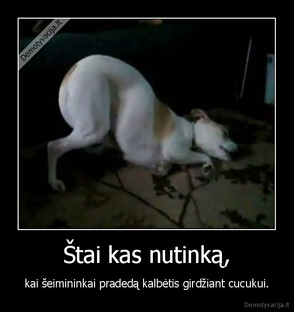 Štai kas nutinką,