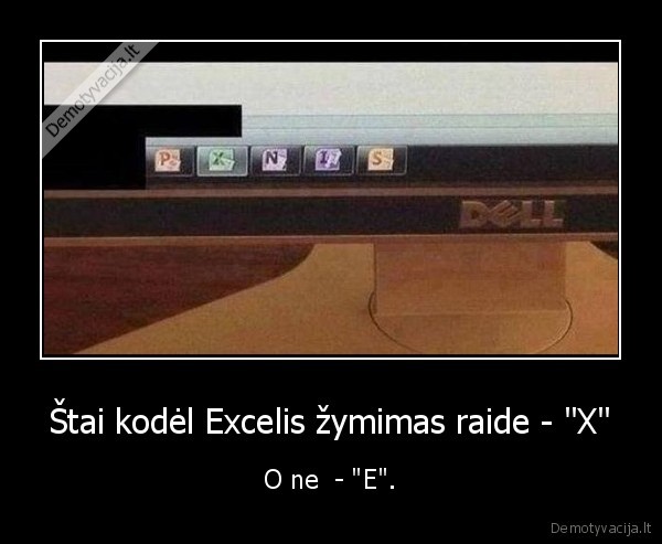 excel,raide,zymeti