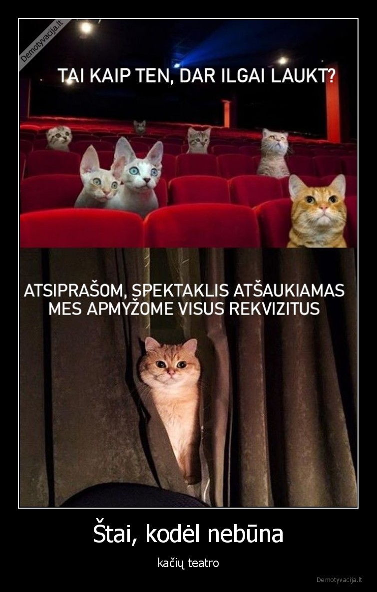kaciu,teatras
