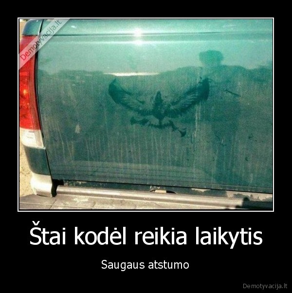 saugus, atstumas,paukstis, atsitrenke